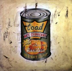 Toad the Wet Sprocket : In Light Syrup